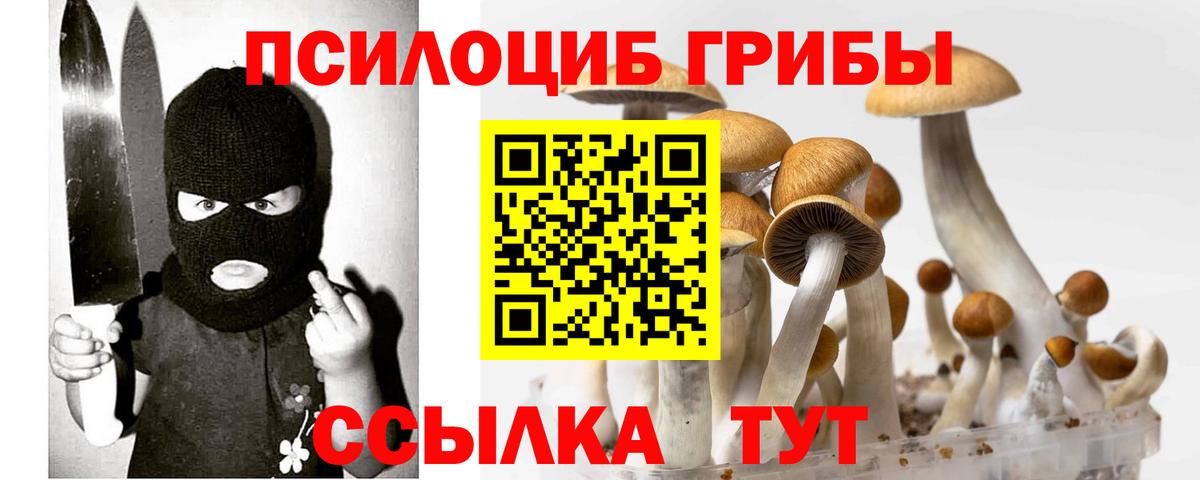 Псилоцибиновые грибы GOLDEN TEACHER  Вход с VPN  Похвистнево 